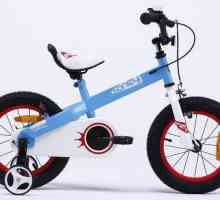 Biciclete Royal Baby - tandem de calitate, luminozitate și durabilitate de neegalat