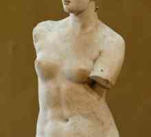 Venus Milo - idealul frumuseții feminine