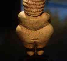 Venus Willendorf: descriere, dimensiune, stil. Venus Willendorf secolul XXI