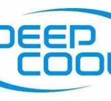 Fan DeepCool Ice Blade 100. Specificații și recenzii