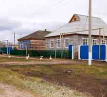 Mamonul superior este un sat pe care regiunea Voronej poate fi mândru