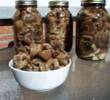 Ciupercile de stridii coreeană: rețete pentru o gustare savuroasă