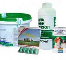 Medicament de uz veterinar "Alvette": instrucțiuni de utilizare pentru animale,…