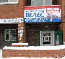 Vetclinic `Veles` în Obninsk: descriere, servicii, comentarii