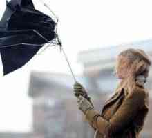 Wind-Umbrella Up-Brella: comentarii, generate de producător
