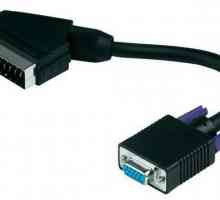 VGA-SCART-adaptor. Adaptor SCART-VGA: caracteristici, recenzii, preț