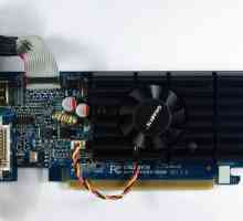 Placa video GeForce 210. Specificații, recenzii și poziționare