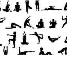 Tipuri de yoga: trăsături distinctive