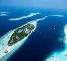 Vilamendhoo Island Resort & Spa 4 * (Maldive): descriere a camerelor, divertisment, servicii,…