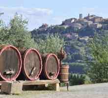 Vin `Montepulciano`: descriere și recenzii