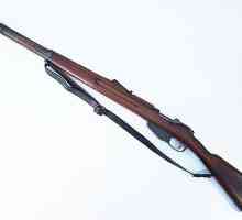 Rifle Manlicher: istorie, preț. Bayonet la Manlicher Rifle