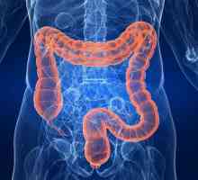 Colonoscopia virtuală a intestinului: recenzii și descrierea procedurii