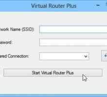 Virtual Routers pentru Windows