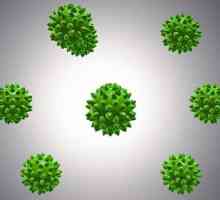 Boala virusului: simptome, căi de transmisie, tratament și prevenire