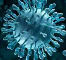 Virusul Coxsackie din Anapa: trăsături ale manifestării, simptomelor și tratamentului