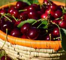 Cherry Brusnitsina: descrierea soiului, plantarea și îngrijirea