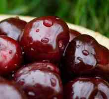 Cherkokorka Cherry: Caracteristicile soiului