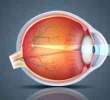 Vitamine picături pentru ochi - care sunt mai bune pentru glaucom, miopie. Care sunt cele mai bune…