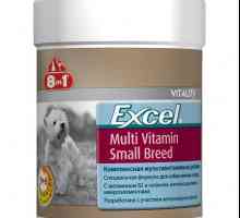 Vitamine "Excel 8 in 1" pentru câini: descriere, instrucțiuni de utilizare, compoziție și…