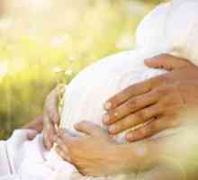 Vitaminele `Elevit`: instrucțiuni pentru utilizare în timpul sarcinii, compoziție,…