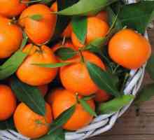 Vitaminele din mandarine: o listă, proprietăți utile, valoare nutrițională și contraindicații
