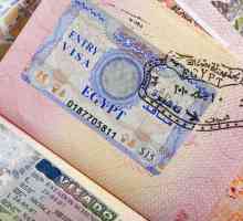 Visa în Egipt: unde și cum să ajungem? Tururi în Egipt. Centrul de viză al Egiptului din Moscova