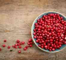 Cranberries uscat: rețete de gătit, beneficii, rău