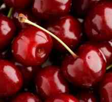 Gust de cirese Cherry Cherry: Descrierea soiurilor