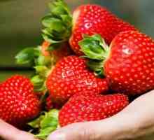 Gustos și util: ce vitamine sunt conținute în căpșuni