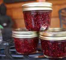 Sucuri delicioase din casă: berry-viburnum, o rețetă pentru gătit pentru toate ocaziile