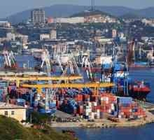 Vladivostok Portul maritim comercial și activitățile sale