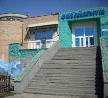 Vladivostok Oceanarium: fotografie, birou, adresa