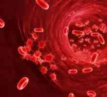 Sângerări interne: simptome și tipuri