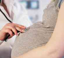 Câte săptămâni efectuează 3 examinări? Examinarea de rutină a femeilor însărcinate