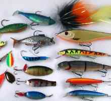 Wobblers `Jackson` - o varietate de modele pentru pescuitul de pescuit