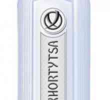Vodka `Khortytsya` este un produs cu nume mondial