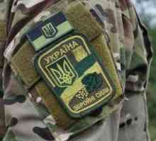 Rangurile militare ale Ucrainei: ieri, astăzi, mâine