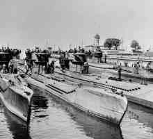 "Lupii lui Deniz" și submarinele celui de-al Treilea Reich