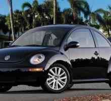 Volkswagen New Beetle: specificații, descriere și recenzii