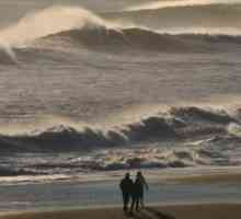 Valuri: tipuri de valuri și definiția valului. Tipuri de unde electromagnetice și sonore
