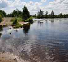 Volojarvi este un lac din regiunea Leningrad. Descriere, pescuit, fotografie