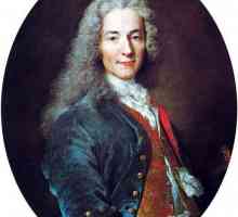 Voltaire: idei de bază. Idei filosofice ale lui Voltaire