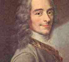 Voltaire, "Simple-minded": un rezumat