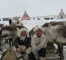 Восточная Сибирь: климат, природа