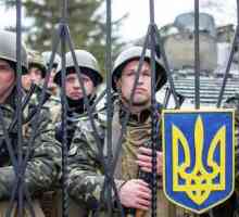 Este posibilă intrarea trupelor în Ucraina?