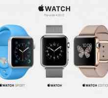 Apple Time: Accesorii pentru Apple Watch