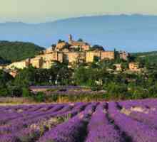 Totul despre Provence: capitala, orașele, istoria, atracțiile, vacanțele