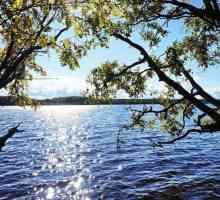 Totul despre lac Goloredayskoye (regiunea Leningrad): alege un loc pentru pescuit și recreere