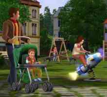 `Toate vârstele: Sims 3`. `The Sims 3`: recenzie, coduri, instalare