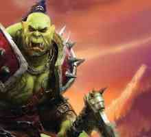 Universul Warcraft, cronologia cărților: "Nașterea operei", "Ultima gardă",…
